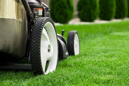 5 Effective Spring Lawn Care Tips
