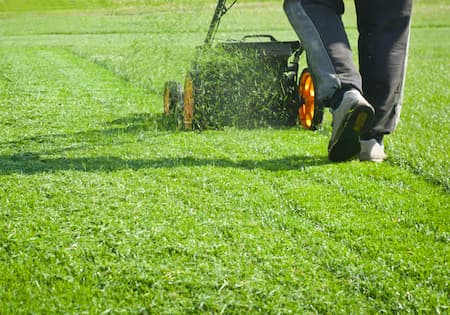 What Are The Benefits Of Professional Lawn Maintenance?