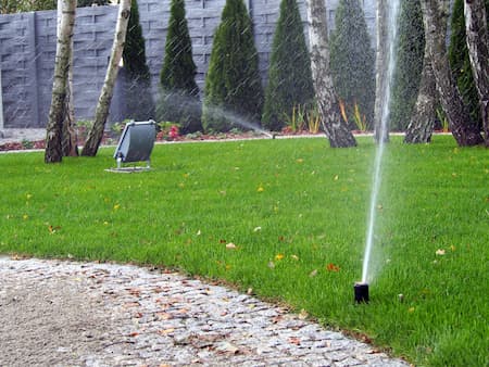 Basic tips for summer lawn care