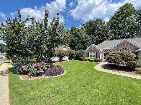 How can regular lawn maintenance stop small yard problems from taking over