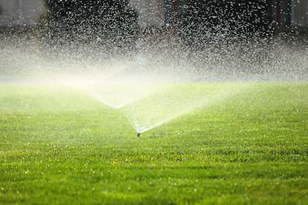 Landscape Irrigation - Water Conservation for the Gardener