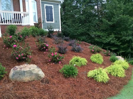 The Pine Straw Mulch Advantage