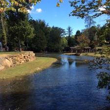 Downtown Woodstock Landscaping Project 8