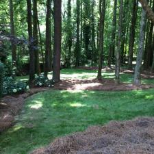 Marietta Landscaping Project 6