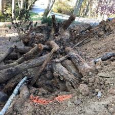 Sinkhole/Trash Pit Repair In Atlanta 6