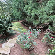 Sandy Springs Landscape Transformation 3