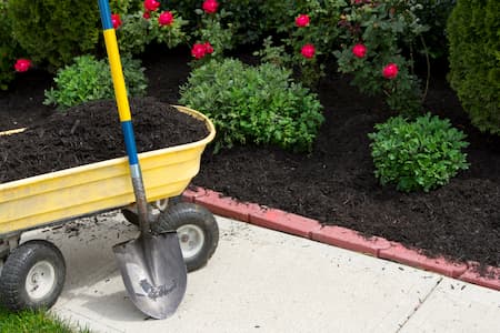 Mulch and pine straw